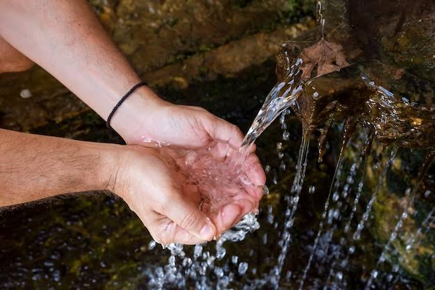 A Importância da Preservação das Fontes Naturais